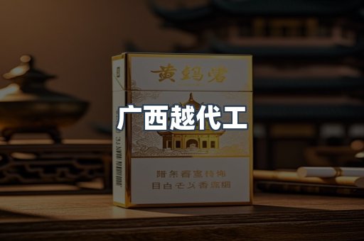 广西越代工